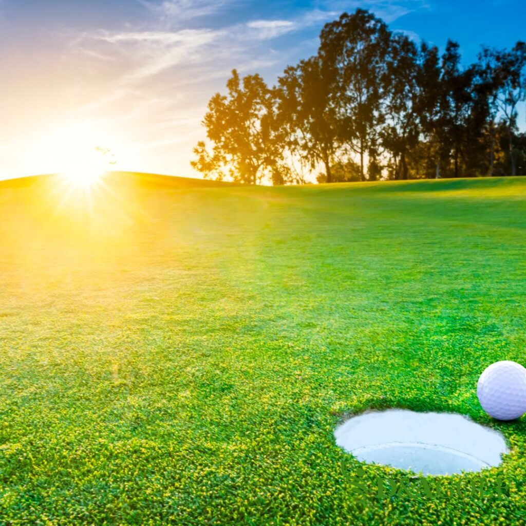 We all want to improve our golf game. So what are the secrets to a better game of golf?