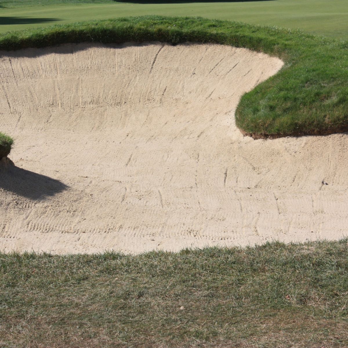 Getting Out of Trouble: Tips and Techniques for Escaping Bunkers and Rough
